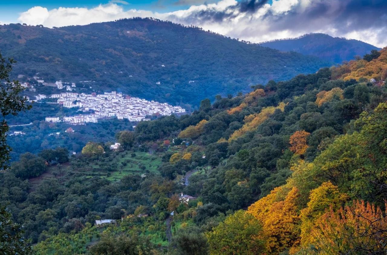 La Marikilla Daire Jubrique Dış mekan fotoğraf