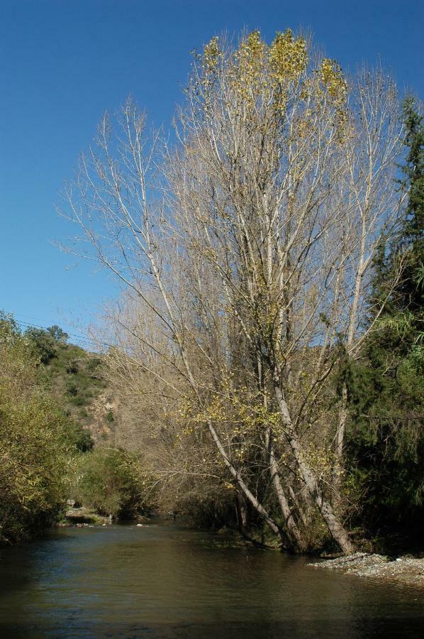 La Marikilla Daire Jubrique Dış mekan fotoğraf
